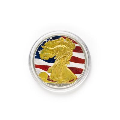 United States Colorized Collectible